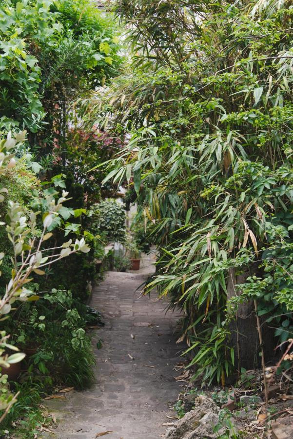 Le Grand Maulnes Bed & Breakfast Paris Ngoại thất bức ảnh